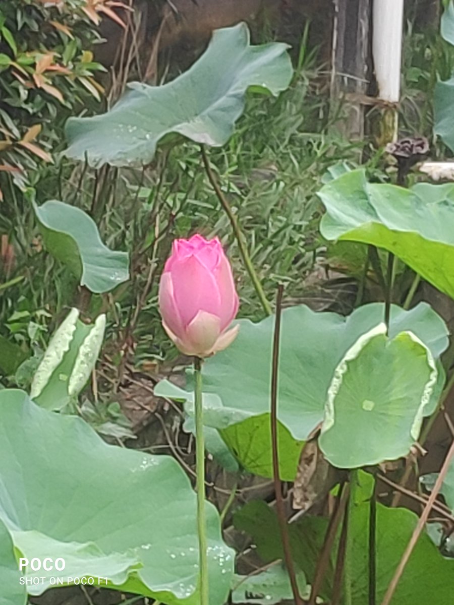 charlesalphons1's tweet photo. Optimistic Leaders of our Time
Leader ottimisti del nostro tempo
நம் காலத்தின் நம்பிக்கையான தலைவர்கள்           How to Improve Every Day (Maxwell Leadership Podcast)
Come migliorare ogni giorno (Podcast)
ஒவ்வொரு நாளையும் எப்படி மேம்படுத்துவது
https://t.co/qzQ5ZvDk02 https://t.co/BETldWbLu8