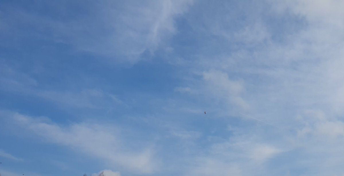 ACC_Physics's tweet photo. CanSat is up there somewhere!! @ccathlone https://t.co/cAmRANIYA1