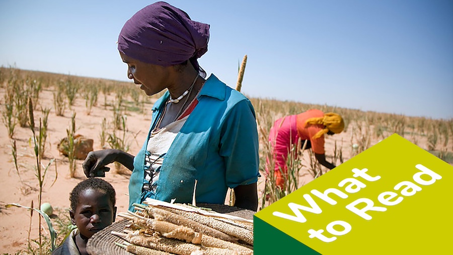 🌍 This #InternationalWomensDay, let's honor the role of women in securing our global food supply. Despite producing up to 80% of food in the Global South, they face stark inequalities. 🚜🌱 landportal.org/what-to-read/l… #IWD2024 #WomenInAgriculture #FoodSecurity #EmpowerWomen 🌾💪