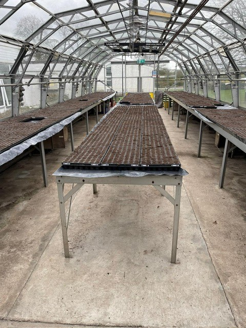 Making progress sowing the herbage DUS varieties, filling up all the empty space! These varieties will be assessed out in the field next year for a range of morphological characters.