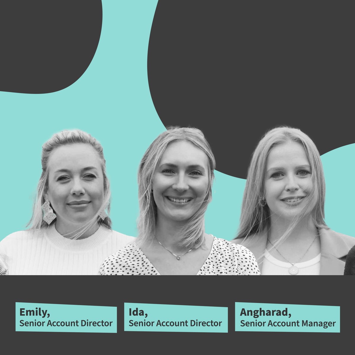 SBW Advertising tweet media