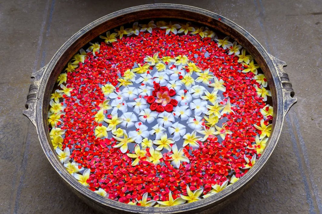 ishafoundation's tweet photo. Every corner of Isha Yoga Center has been beautified for Mahashivratri. Just a few more hours to go!
Join Sadhguru for Mahashivratri 2024 - streamed LIVE from Isha Yoga Center on 8 March 2024 from 6 PM IST/7:30 AM EST/12:30 PM GMT
https://t.co/xtI87tq9E9
#IshaYogaCenter #AwakeWithAdiyogi #Mahashivratri2024