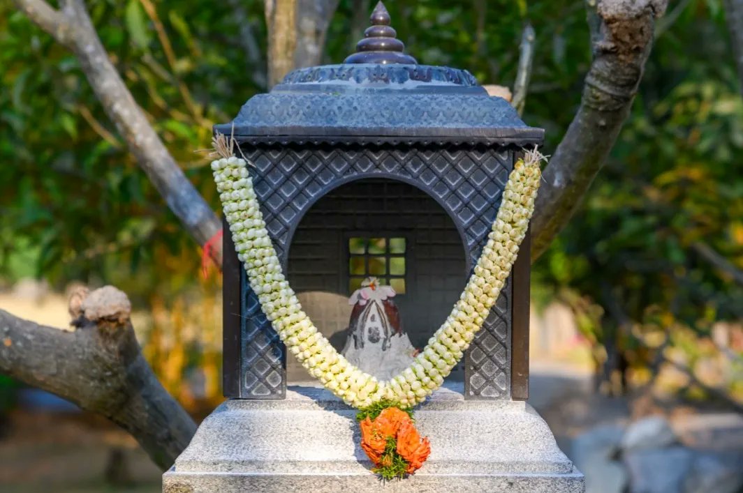 ishafoundation's tweet photo. Every corner of Isha Yoga Center has been beautified for Mahashivratri. Just a few more hours to go!
Join Sadhguru for Mahashivratri 2024 - streamed LIVE from Isha Yoga Center on 8 March 2024 from 6 PM IST/7:30 AM EST/12:30 PM GMT
https://t.co/xtI87tq9E9
#IshaYogaCenter #AwakeWithAdiyogi #Mahashivratri2024