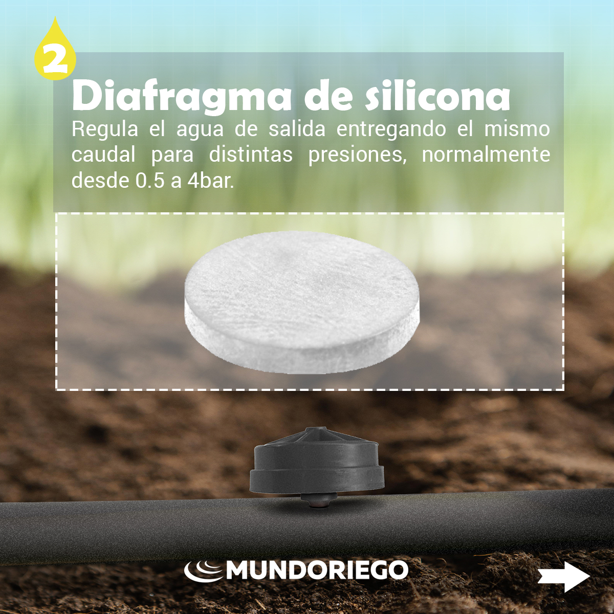 Mundoriego's tweet photo. El gotero ¡AL DESCUBIERTO! 😁
Así es el interior de esta pieza utilizada en los sistemas de riego. Un diseño único que permite el correcto trato del agua y por lo tanto perfecto para plantaciones.
#mundoriego #riegoporgoteo #goteo #riego #tefen #sistemaderiego #riegoautomatico https://t.co/9Q35eUakvk