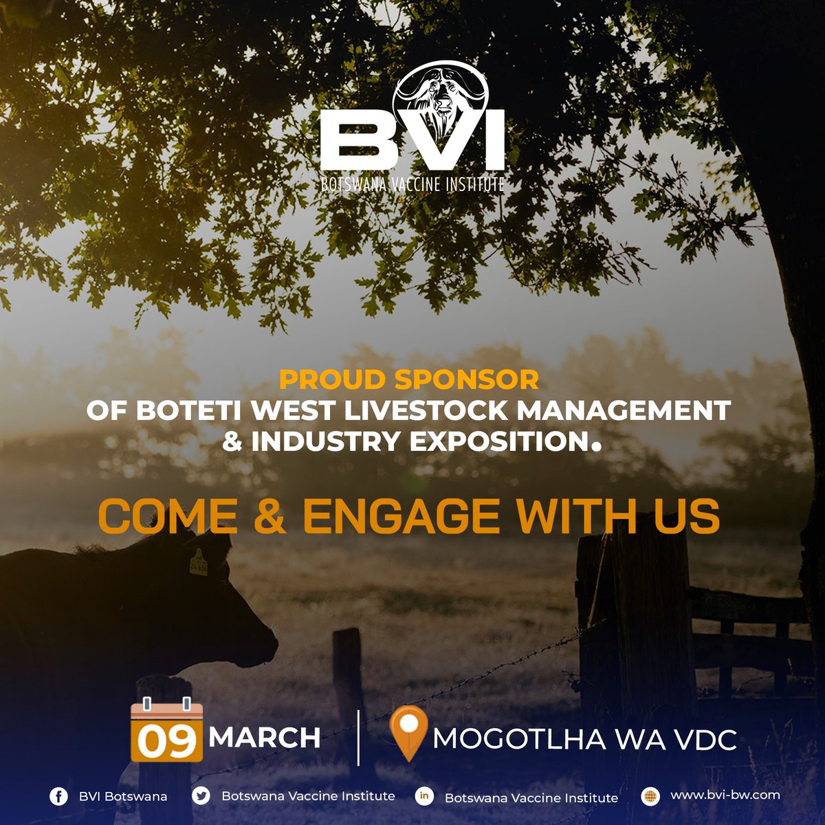 DO NOT miss the opportunity to engage with us closely as we share in-depth knowledge on infectious disease control, effective vaccination programs to enhance animal health, productivity and profitability.
#ProvidingSustainableAnimalHealthSolutions #InfectiousDiseaseControl #BVI