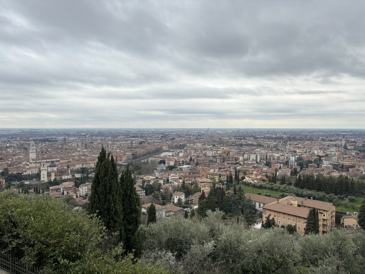 andreabeduschi's tweet photo. https://t.co/V5GzHD3c2m