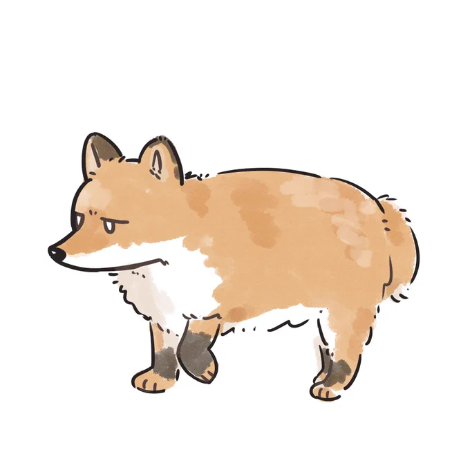 リアルもふ… 