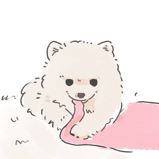 「犬 ふわふわ」のTwitter画像/イラスト(新着)