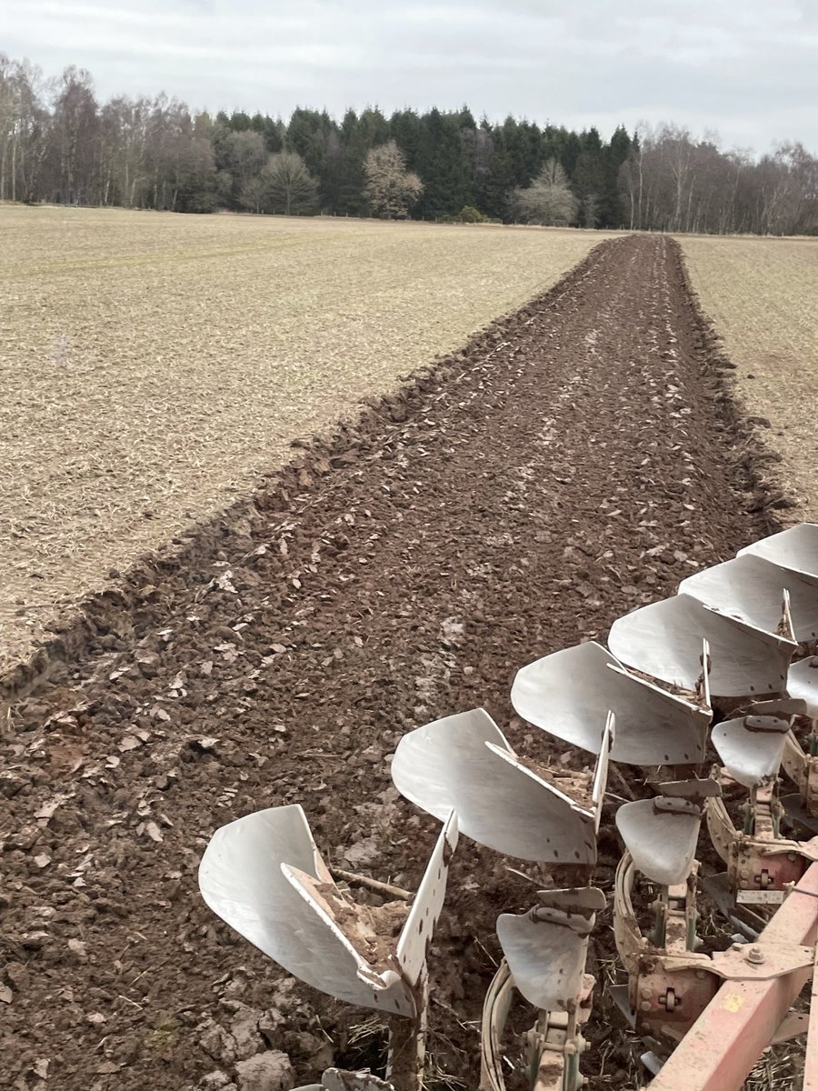 bravo10_4's tweet photo. Memories of the old days drawing a feering with a conventional Sellers’s 5 furrow plough and MF 2640!
#changeddays https://t.co/ySdqR6mpqH