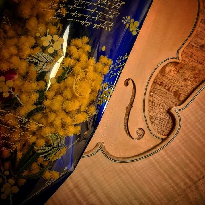 AndreaSamela's tweet photo. A tutte voi. 
#8marzo #festadelladonna #giornatainternazionaledelladonna #diritti #parita #paritàdigenere https://t.co/DNWxkctYvI
