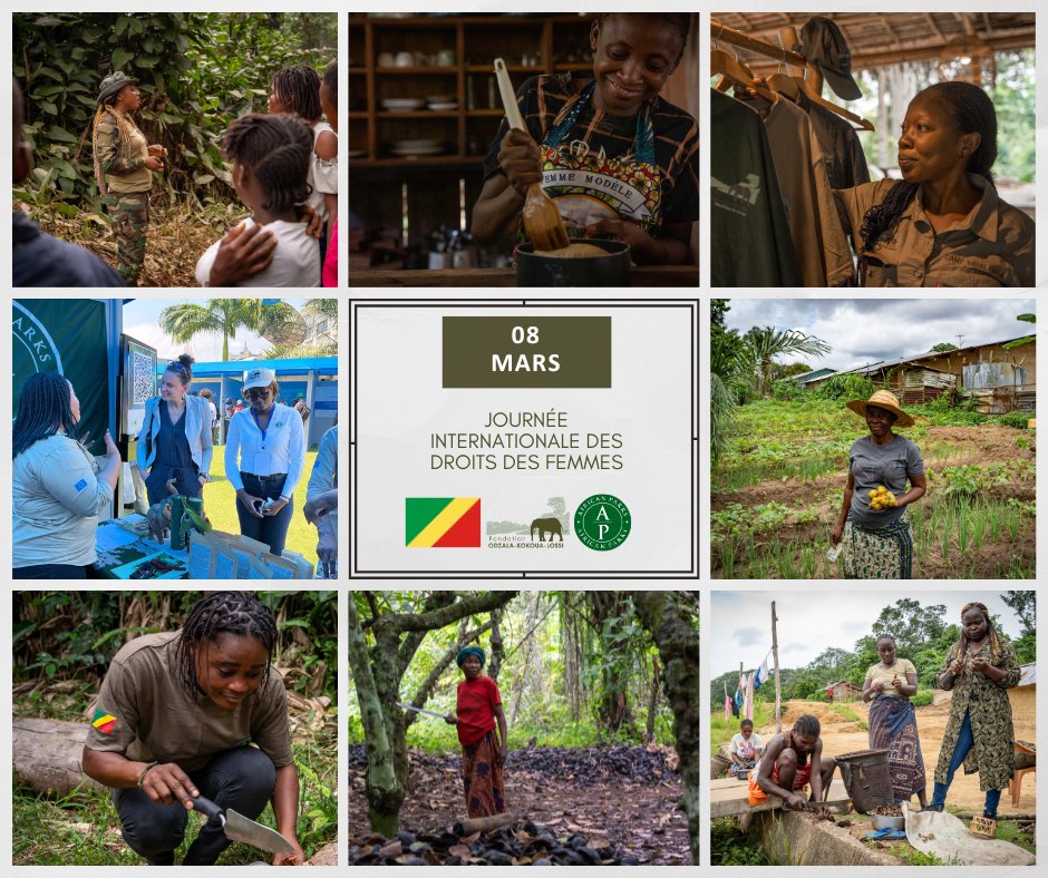 Bonne journée Internationale des Droits des Femmes!
<a href="/AfricanParks/">African Parks</a> #Fondationodzalakokoualossi #Parcnartionalodzalakokoua #SanctuairedeGorillesdelossi <a href="/ONUFemmes/">ONU Femmes</a>