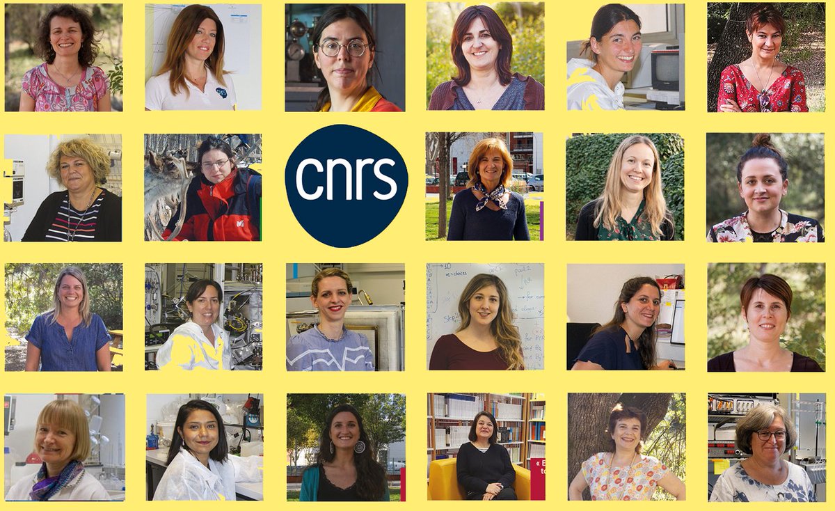 CNRS Côte d’Azur tweet media