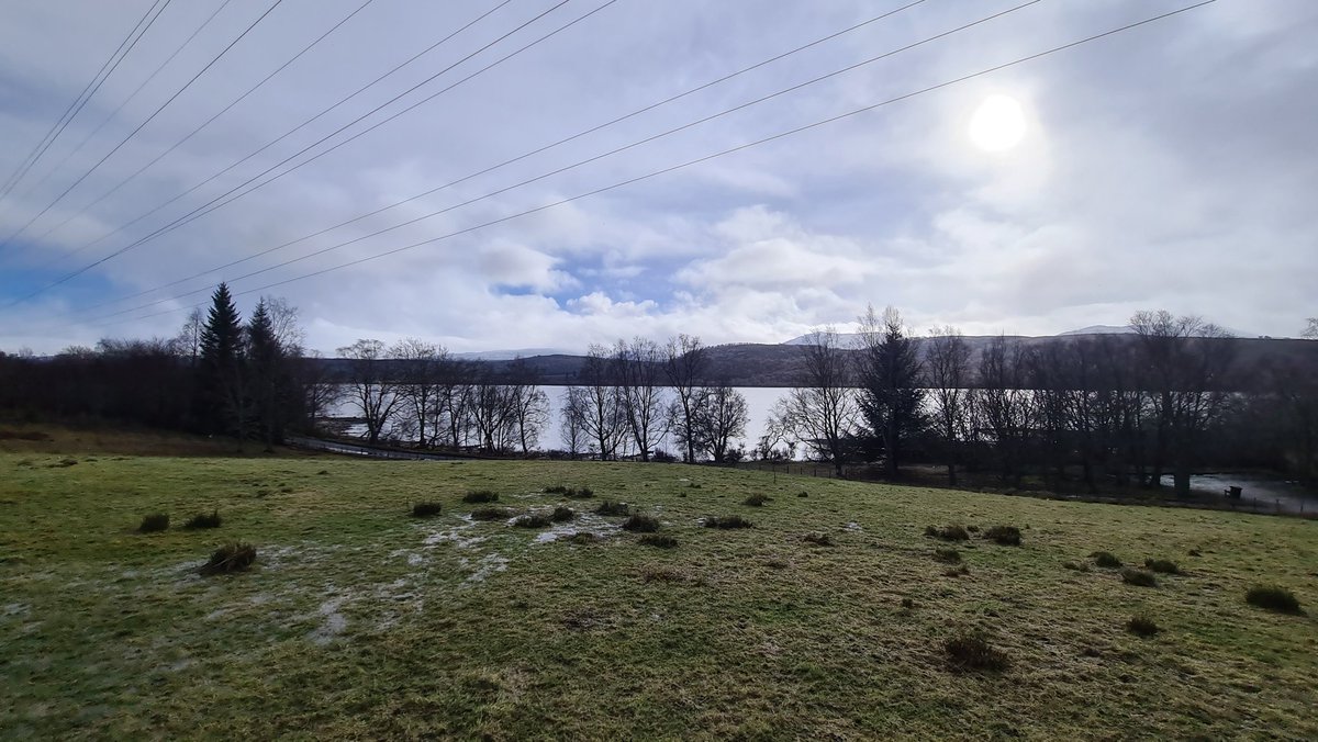 Euan Bowditch tweet media