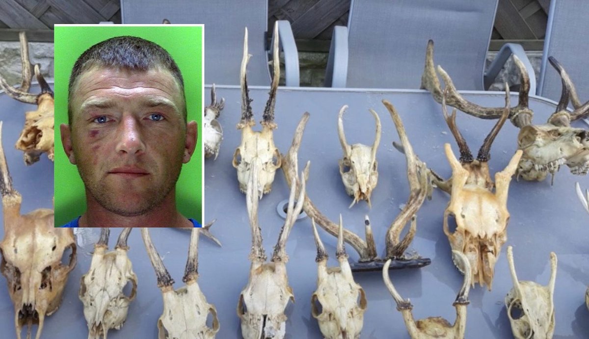 Brutal catalogue of wild animal animal cruelty leads to jail for Notts man .. Read more &gt;&gt;  farmwatcher.co.uk/alerts/brutal-… #RuralCrime #AnimalCruelty <a href="/nottspolice/">Nottinghamshire Police</a>  <a href="/NottsOPCC/">Nottinghamshire OPCC</a>