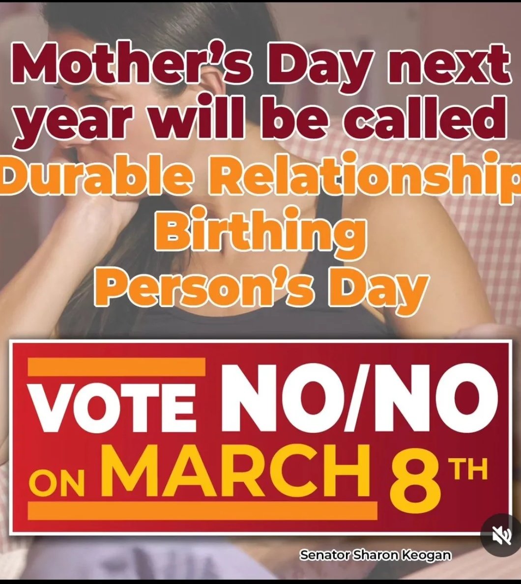 #HELLNO
#senatorsharonkeogan
#EIRE #mothers #woman #herchoice #votenil #votenomarch8th #internationalwomansday #Ireland