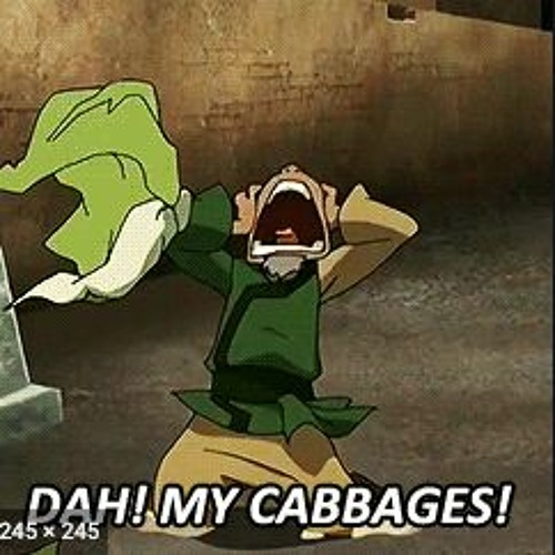 pwang_szn's tweet photo. MY CABBAGES https://t.co/mo2ts7Qq1A