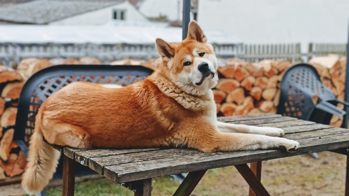 Dlouho jsem tu nebyl, co? Je mi deset (měsíců) a moje rodina mě fakt zbožňuje. ;) Tak zase někdy!