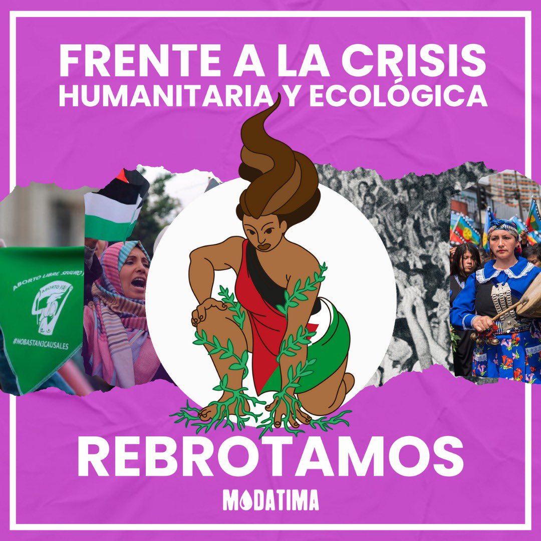 Con el genocidio del pueblo palestino ocurriendo a los ojos del mundo y una crisis ecológica, con consecuencias sostenidas x los territorios + precarizados, las mujeres rebrotamos siempre con la fuerza del agua y la tierra #8M #PalestinaLibre #NoEsSequiaEsSaqueo #HuelgaFeminista