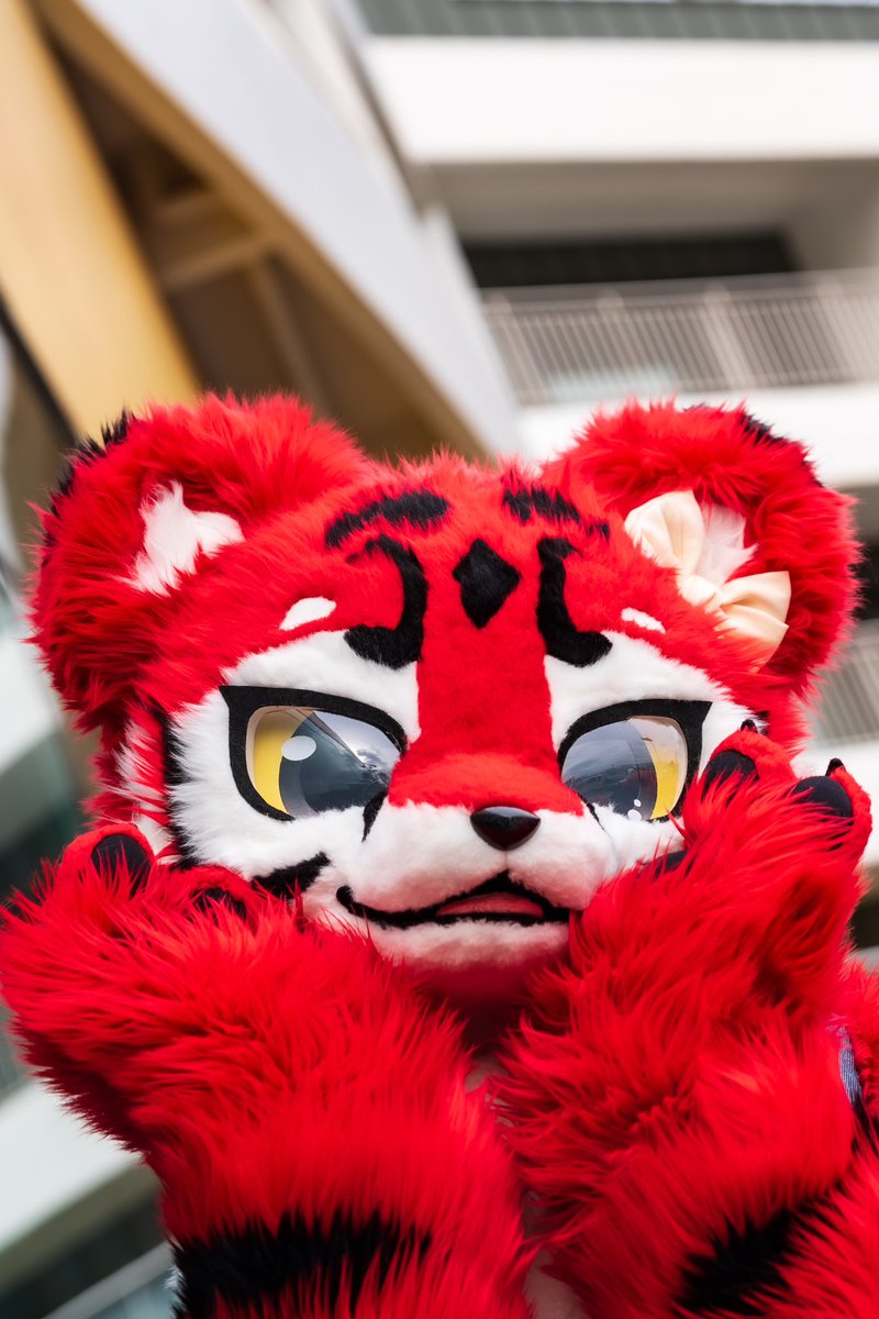 🐯타스!🐯

#FursuiFriday #fursuit