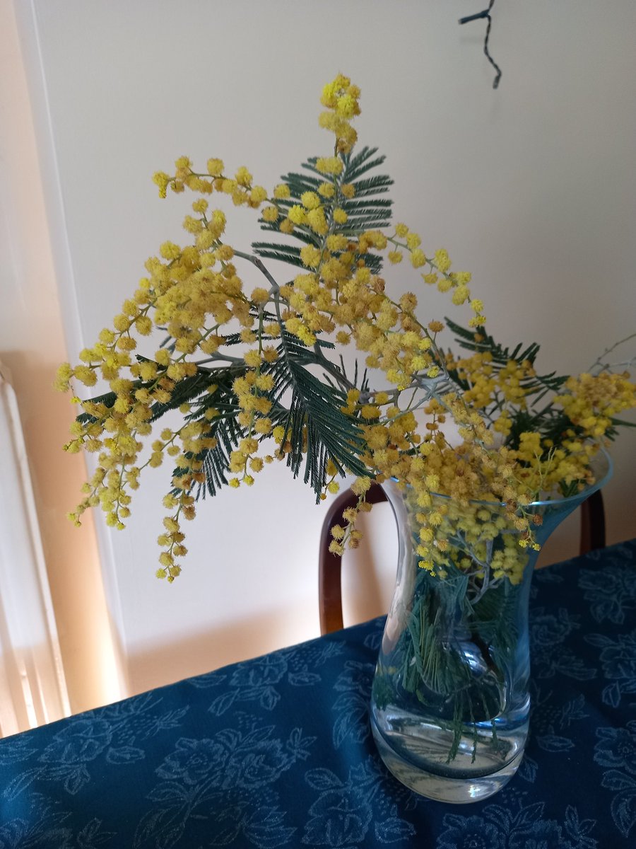 From my lovely husband - Mimosa for #InternationalWomensDay