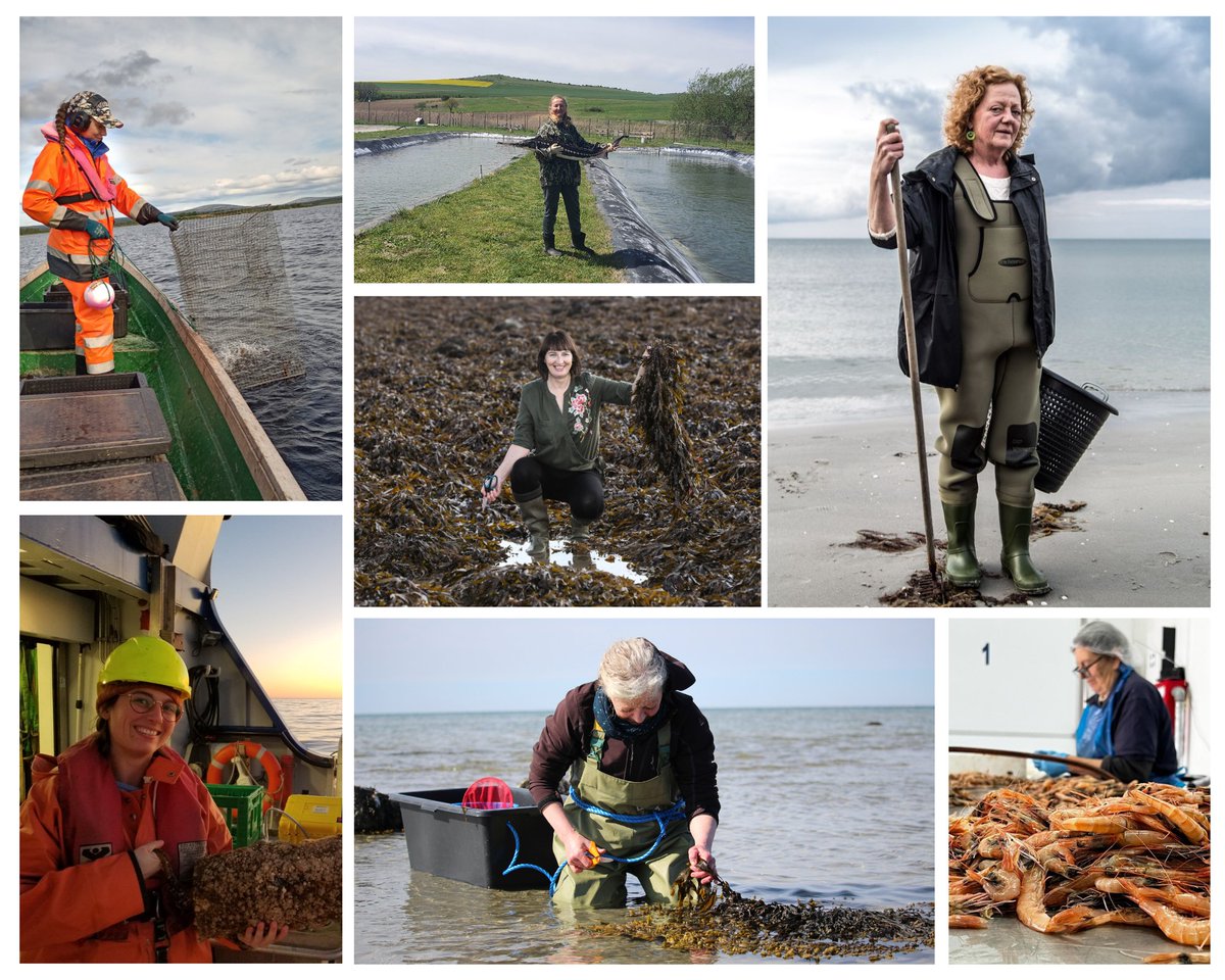 Happy #IWD2024!🙌

Today, we honour the remarkable  women working in #fisheries, #aquaculture, and the wider #blueeconomy across the #EU! Particularly those supported by the #EMFF and #EMFAF. 🐟🎣

#WomensDay #WomensDay2024