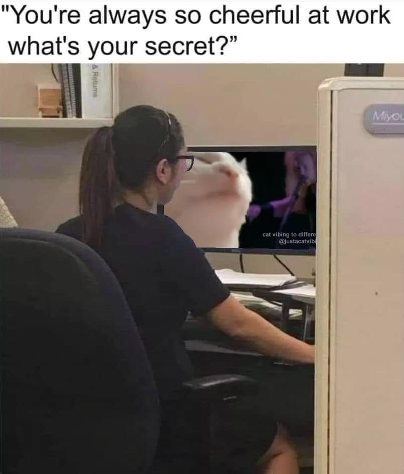 VIBING CAT tweet media