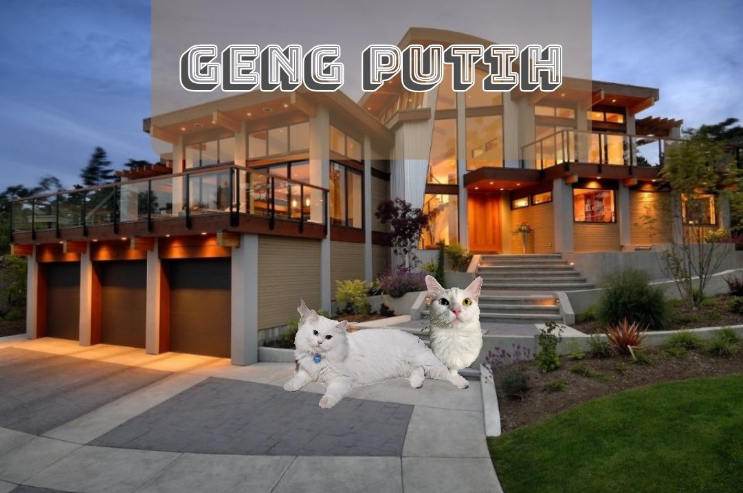 Dadang Sn(Owy) Gurniwa 🇵🇸 tweet media