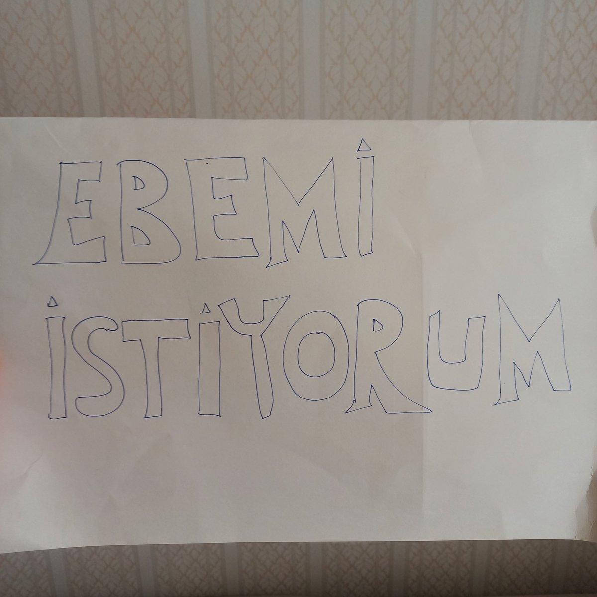#8martdunyakadinlargunu için en önemli ve öncelikli bir isteğimiz var kadınlar olarak #ebemiistiyorum