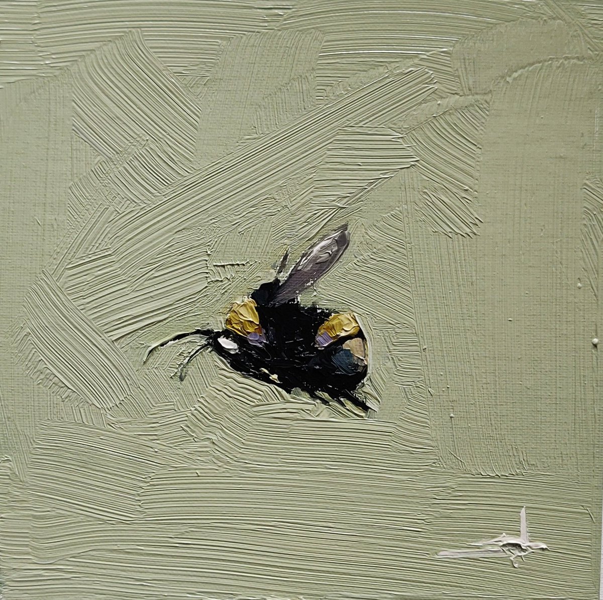 vivekmandalia's tweet photo. Bumble Bee
Oil on Canvas Board
Available
#oilpainting #wallart #impressionism #homedecor #painting #artcollector #inteiordesign #painter #artlover #artcurator #bee https://t.co/KeBJ6nQp3g