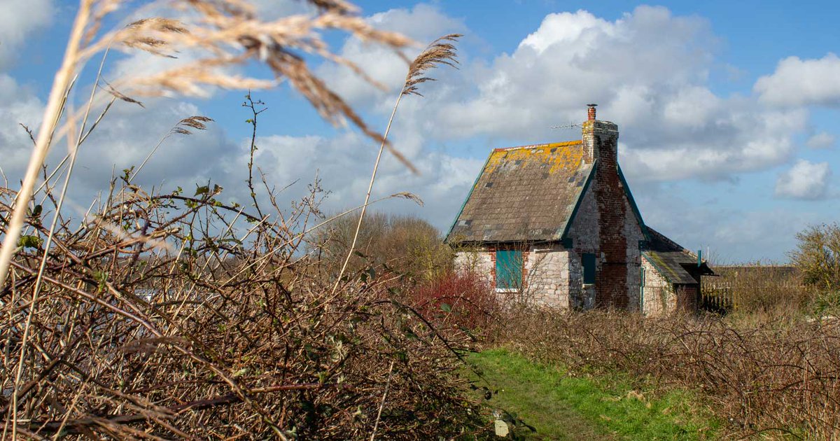 Topsham Lock Cottage – nestled idyllically on the banks of the River Exe and right beside the tranquil waters of the Exeter Ship Canal – is now on the market to rent for outdoor leisure use or as a holiday cottage.

Read more ▶▶▶ tinyurl.com/2pd2dcv7