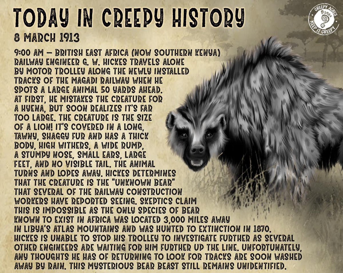 creepyacres's tweet photo. Africa holds many mysteries, and one of them is the Nandi bear. Named after the Nandi people/region where it’s been reported numerous times, this beast is blamed for the slaughter of livestock &amp; children alike. 

Speculation of the Nandi bear's identity is varied. https://t.co/j7az4Tcoeq