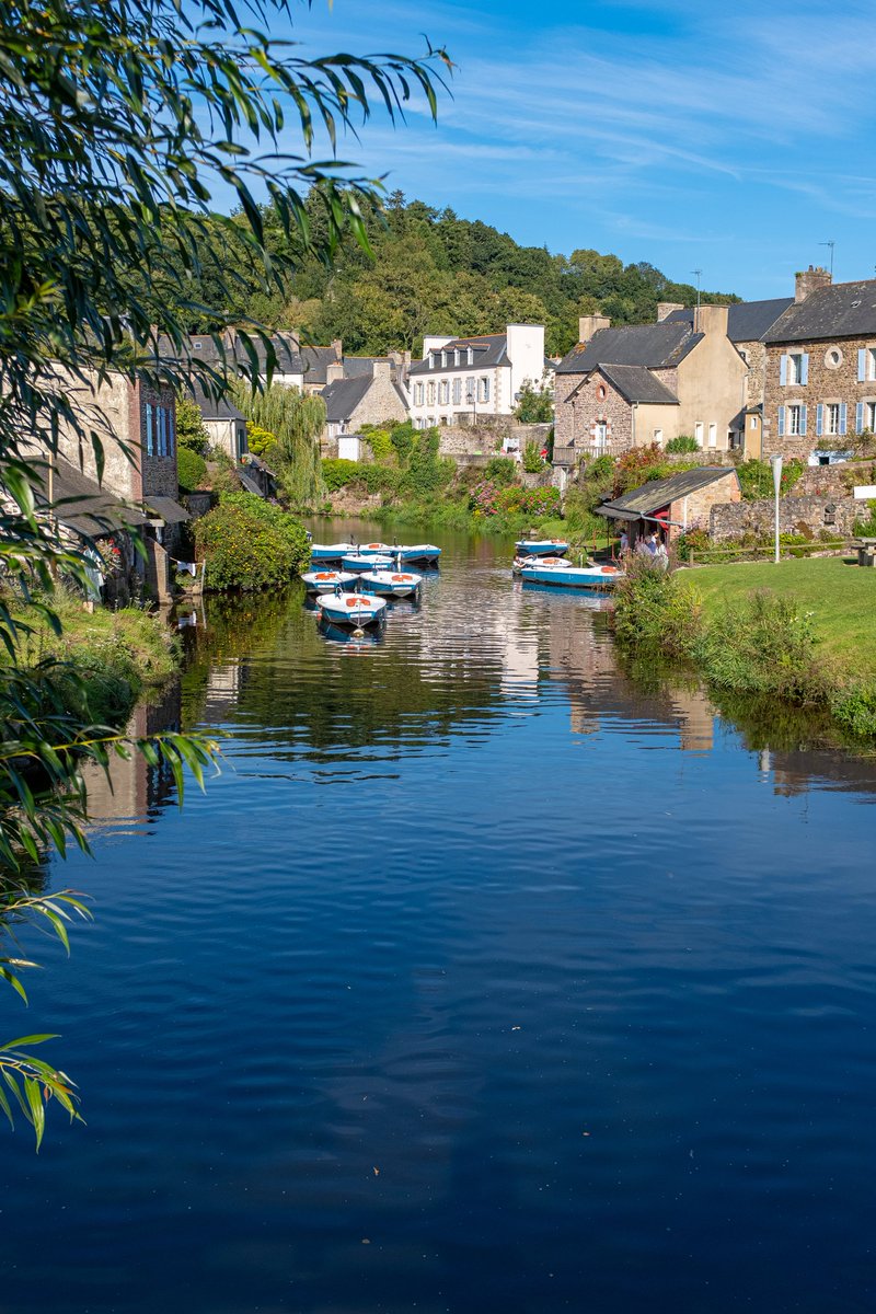 A French Collection tweet media