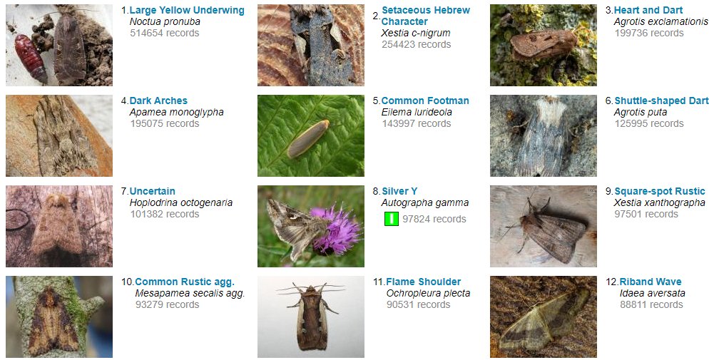 Here's an interesting list... Norfolk most recorded moths. But should an aggregate be at number 10?!