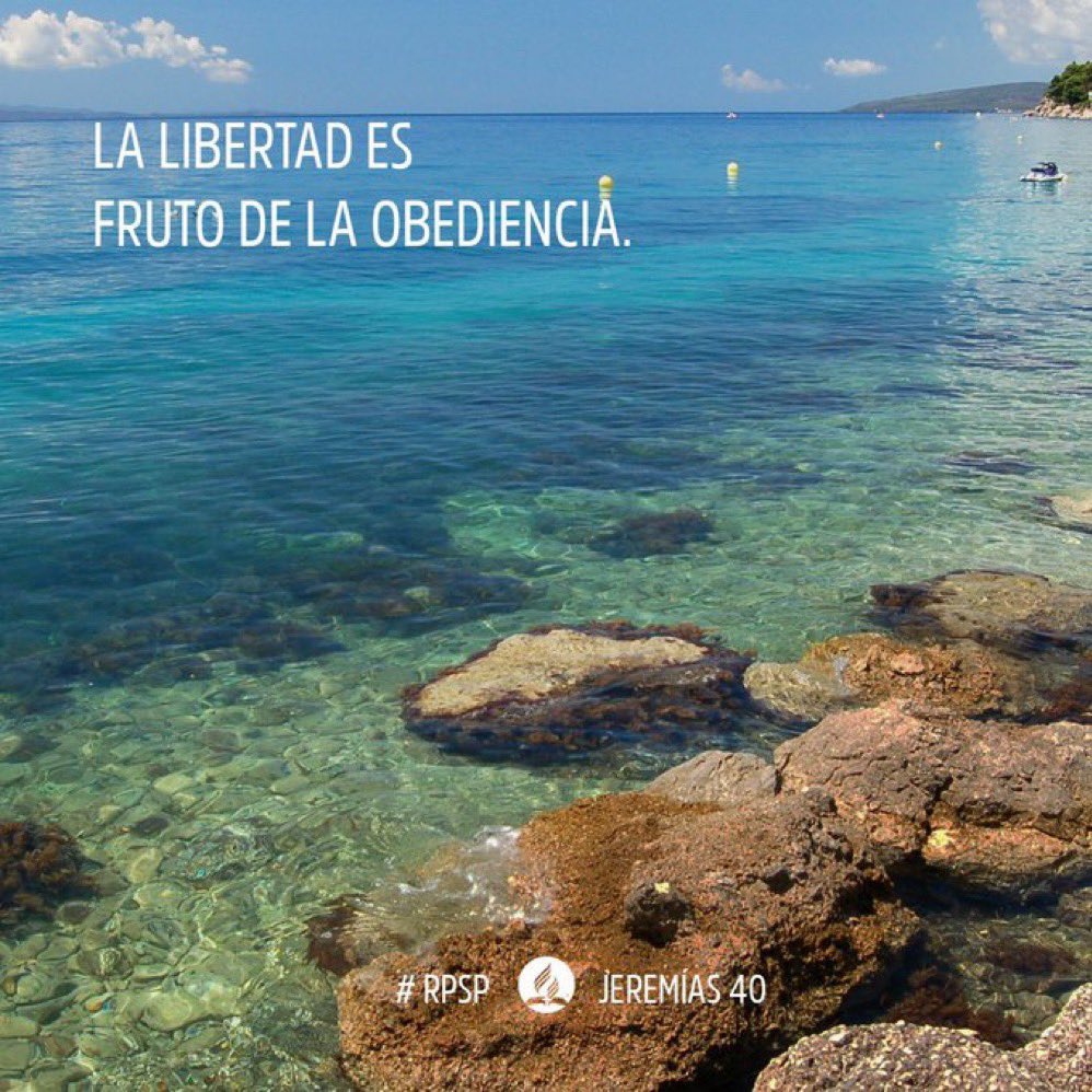 Jeremías 40

🔊Se fiel a Dios sin importar la circunstancia, para el fiel hay liberación, consuelo, seguridad y salvación 

🔊El fiel confía en las promesas de Dios, no toma venganza, actúa conforme al plan de Dios. Vive hoy con la seguridad de salvación en Cristo Jesús 

#rpsp