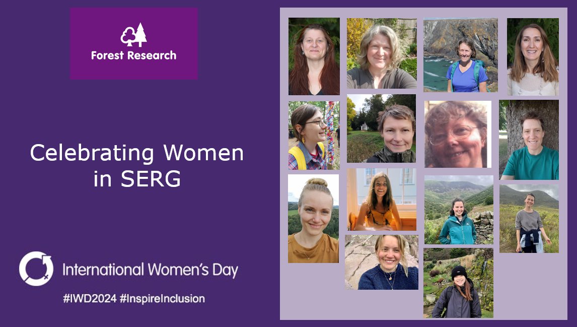 This international women's day we're celebrating the brilliant women who make up our Society and Environment Research Group. See the thread below for some examples of the great work being done👇🌲 #InspireInclusion #WomeninForestry #IWD2024