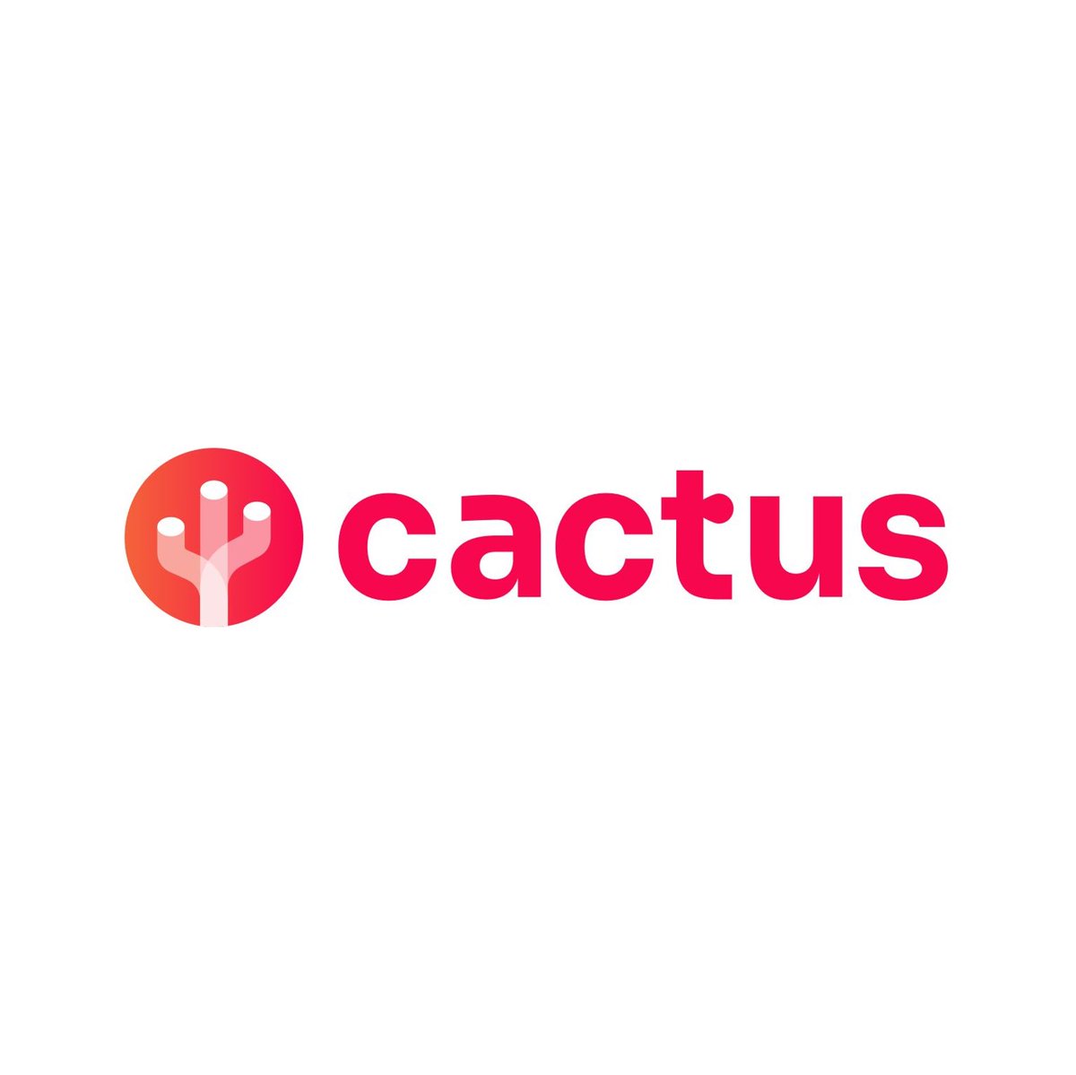 Cactus tweet media