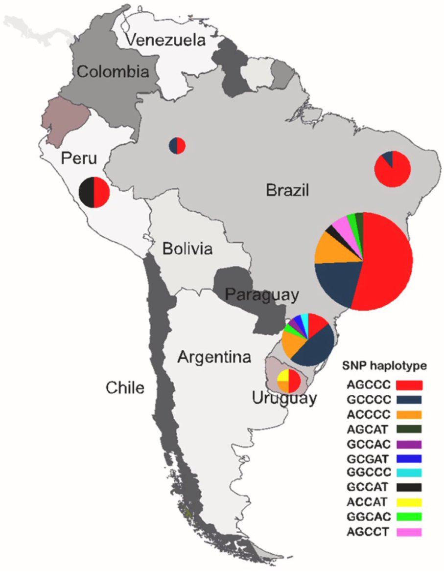 ParkinsonismD's tweet image. #SCA2 #ancestral #polymorphicmarkers #haplotypes #spinocerebellarataxia

Spinocerebellar ataxia type 2 has multiple ancestral origins

@PRDAssociation @ELSneuroscience 

Log in to: 

prd-journal.com/article/S1353-…

@PRDAssociation