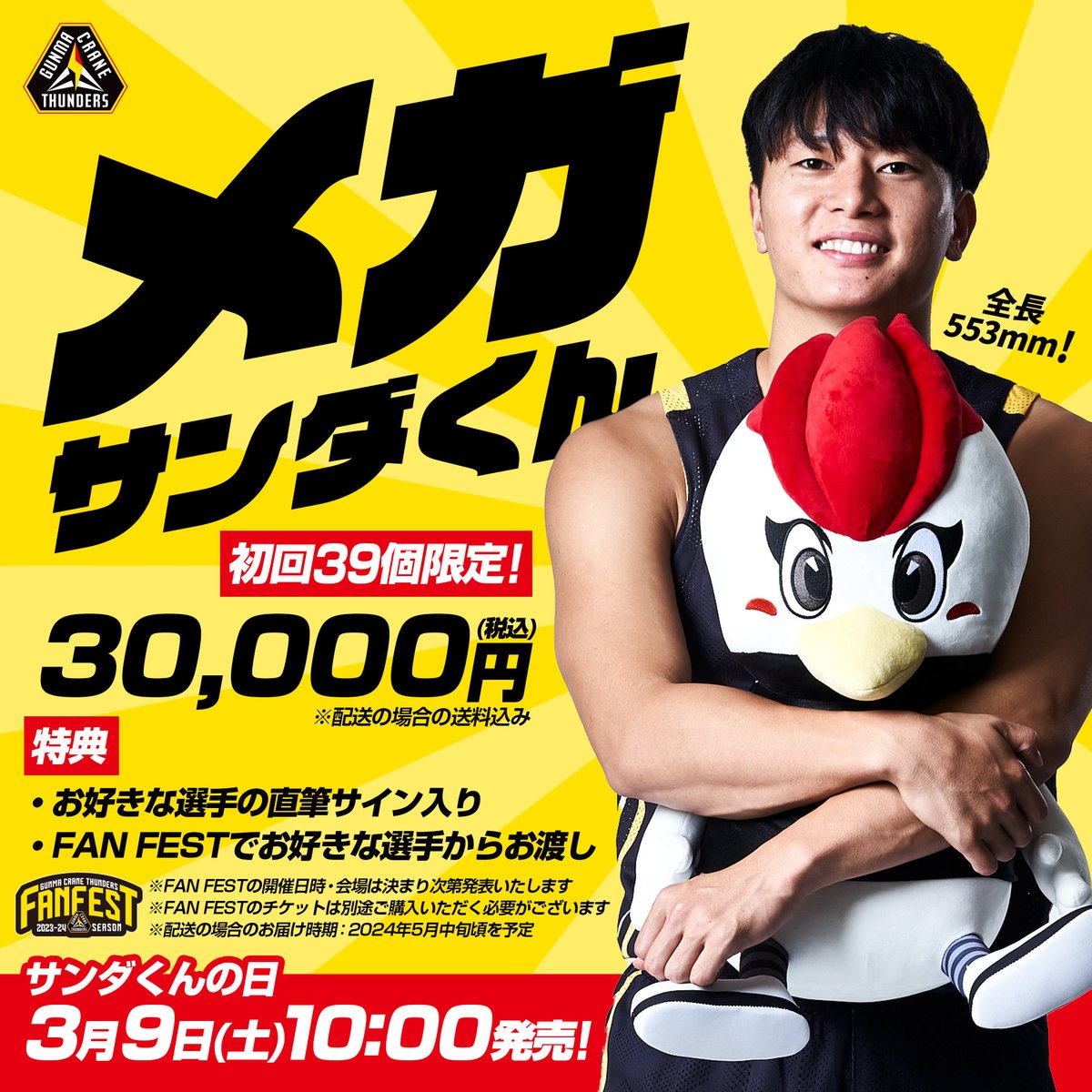 数量限定品新品未開封　群馬クレインサンダーズメガサンダくん 群馬クレインサンダーズ on X: 