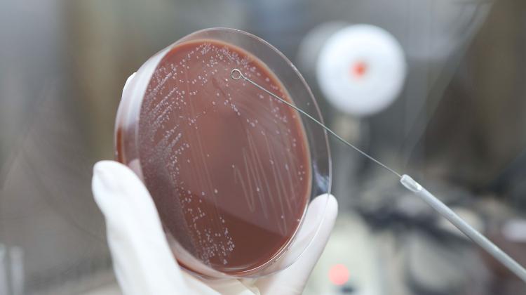 Global warming and other environmental changes drive antibiotic resistance, Polish scientists report in the journal Environmetal Pollution. #globalwarming #climatechange #AntibioticResistance #antibiotics @PUMS_tweets scienceinpoland.pl/en/news/news%2…