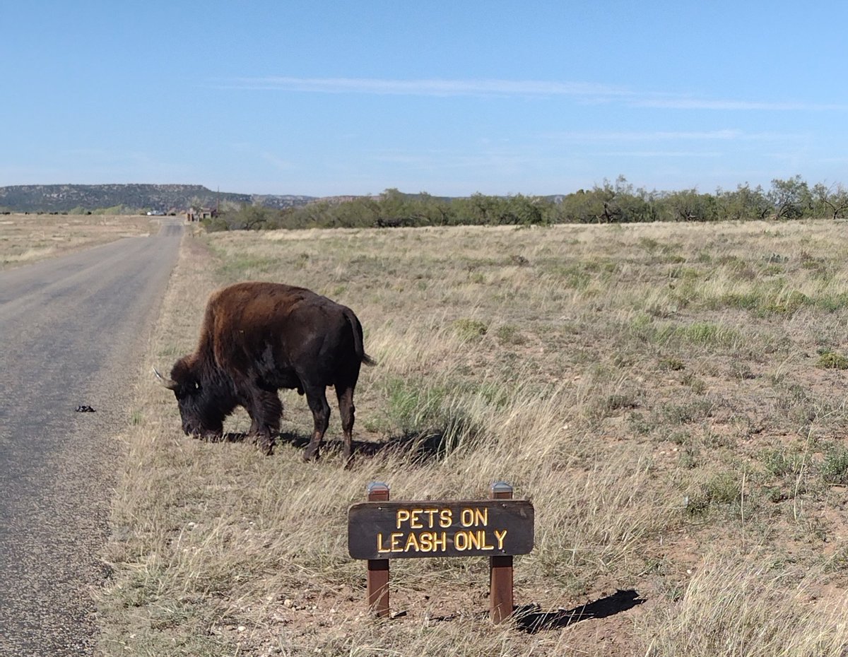 GM Xitter friends.

Hope you have a wonderful day.

Remain ungovernable.