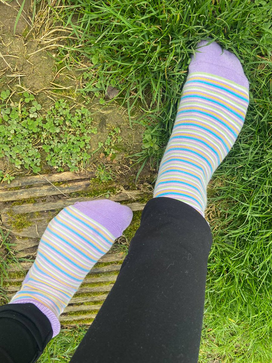 HerrinVik666's tweet photo. #Socken im Frühlingsgras . Mal wieder was für meine Sockenleute #herrin #domina #gothherrin #knietnieder #gothic #gothwithcutesocks #farbigesocken #fetisch https://t.co/2i1K45HqSE