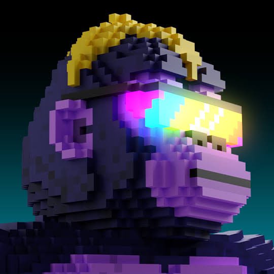 MaxLonged's tweet photo. The project is only a few years old but CyberKongz has cemented itself in the NFT history books. 

CyberKongz has had such a profound effect on the NFT space as a whole, propelling the movement forward since 2021.

There is a historical and cultural value of CyberKongz that people don't see yet. @CyberKongz #OOH 🦍🍌