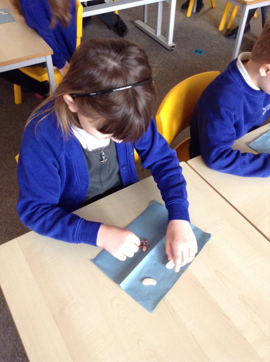 Mrs Young tweet media