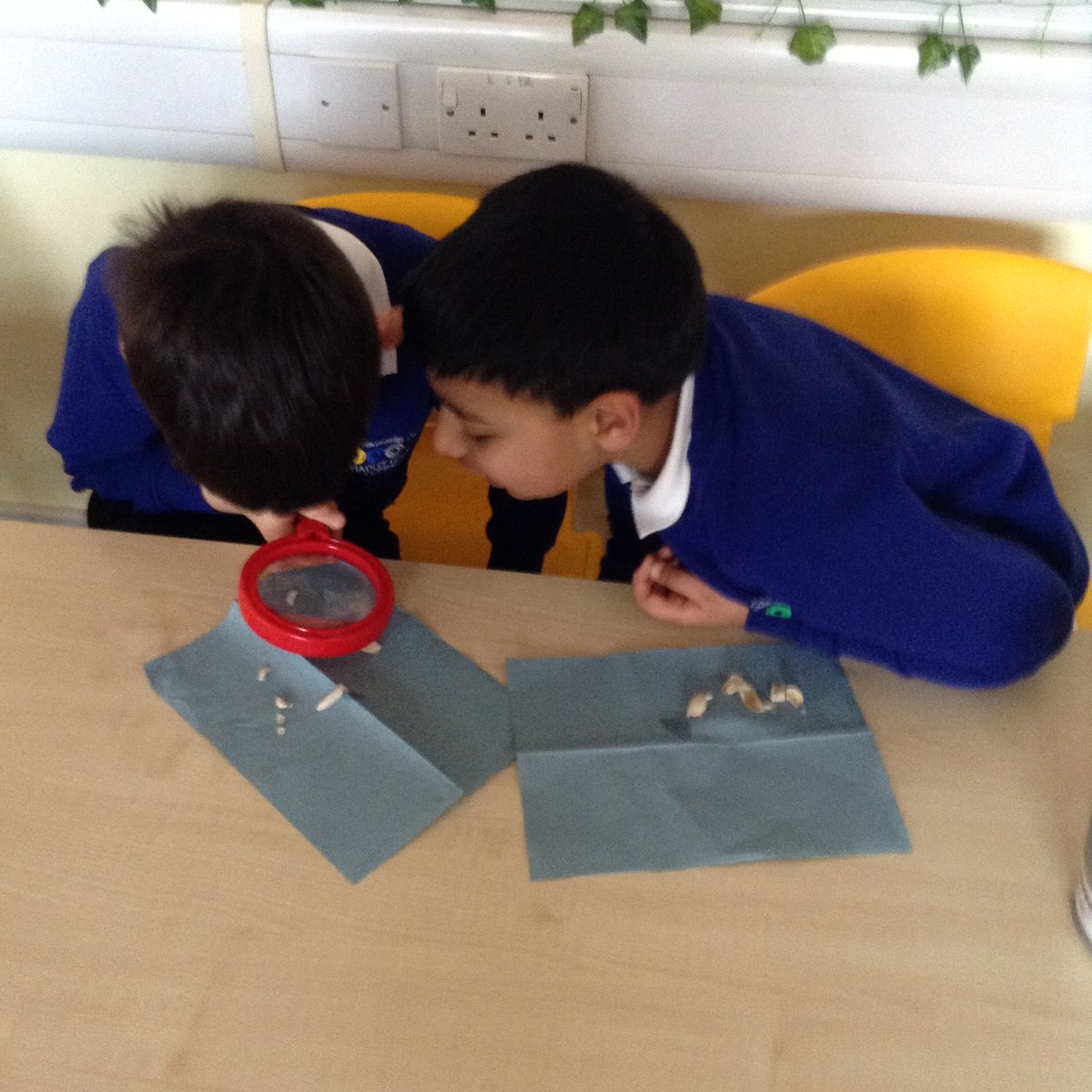 Mrs Young tweet media