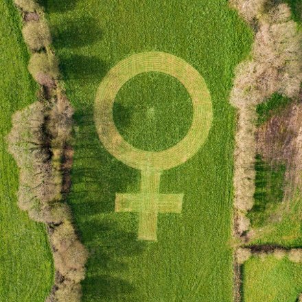 💜🌱¡Feliz Día Internacional de la Mujer! 🌱💜