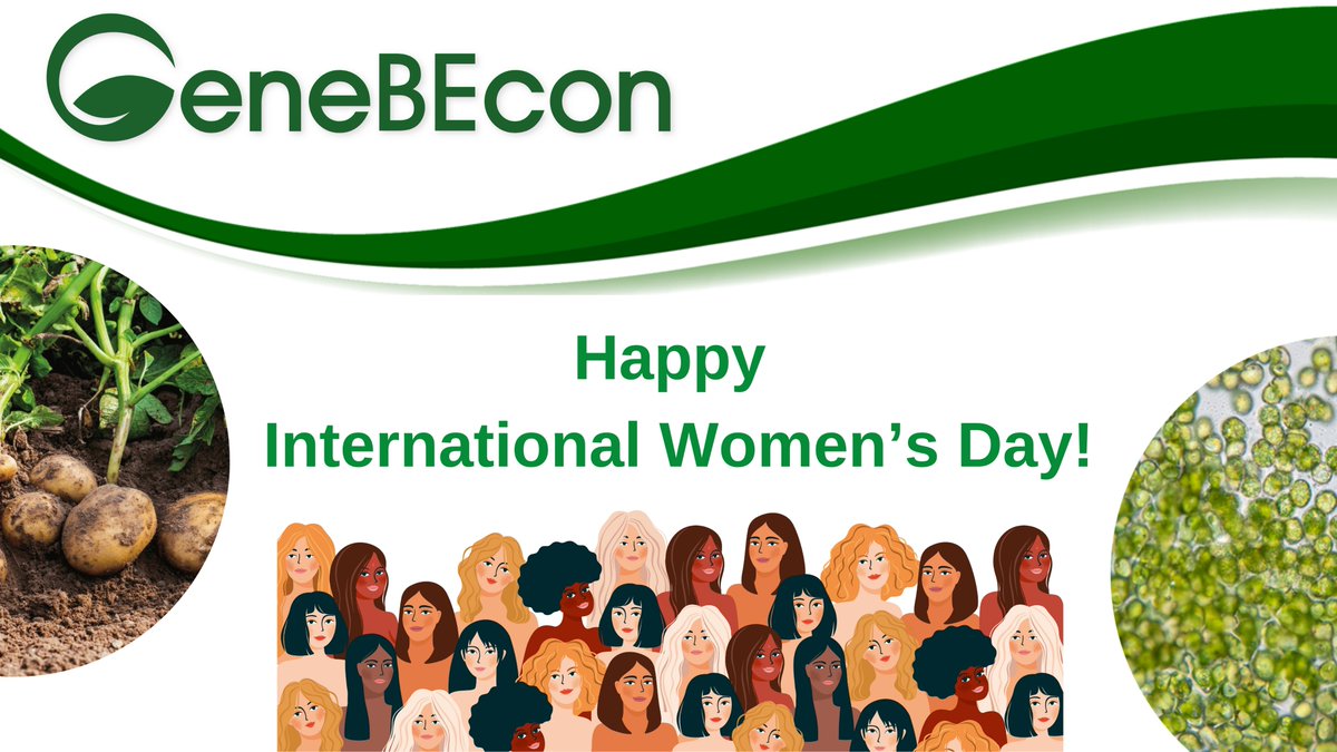 💁‍♀️Happy #InternationalWomensDay!

🤩Did you know that there is an equal representation of both women and men working in GeneBEcon project, contributing to the uptake of using #NGTs for sustainable #EUBioeconomy and #sustainableagriculture in Europe?

#IWD2024