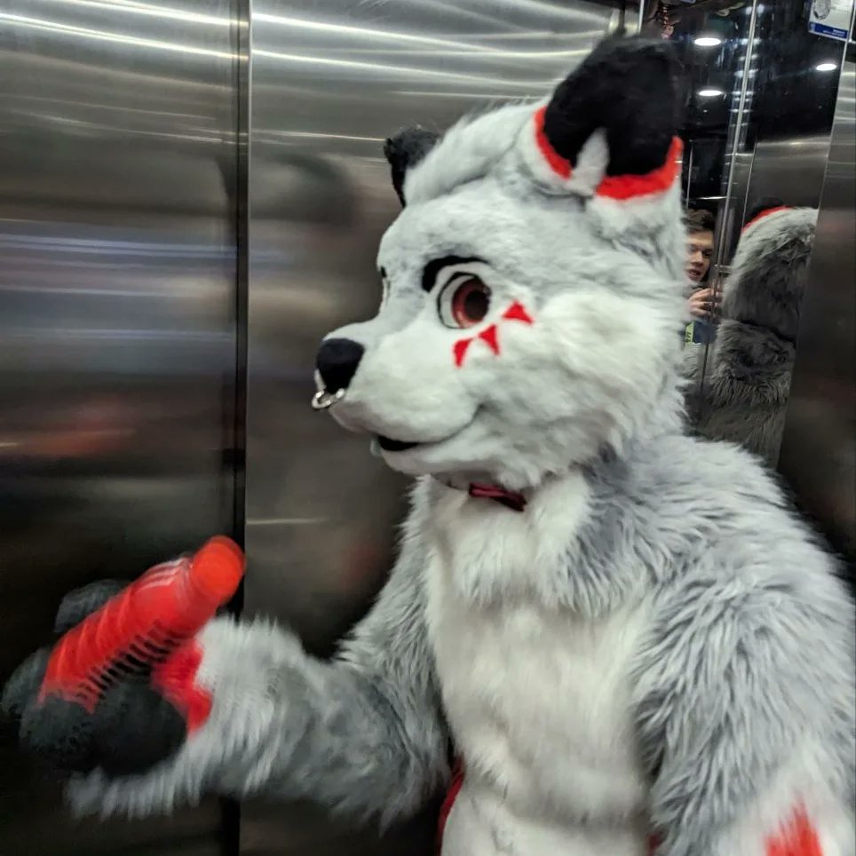 мıпт 🌱 tweet media