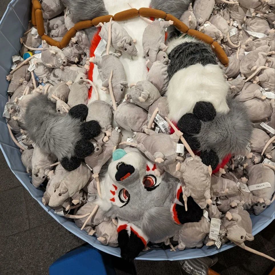 мıпт 🌱 tweet media