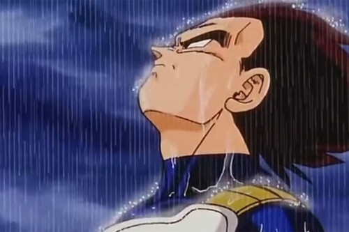 Gracias por ser el principio 💚