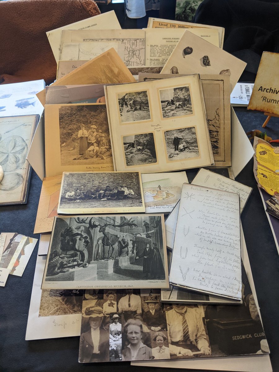 Sandra Freshney 🔍📜📖 tweet media